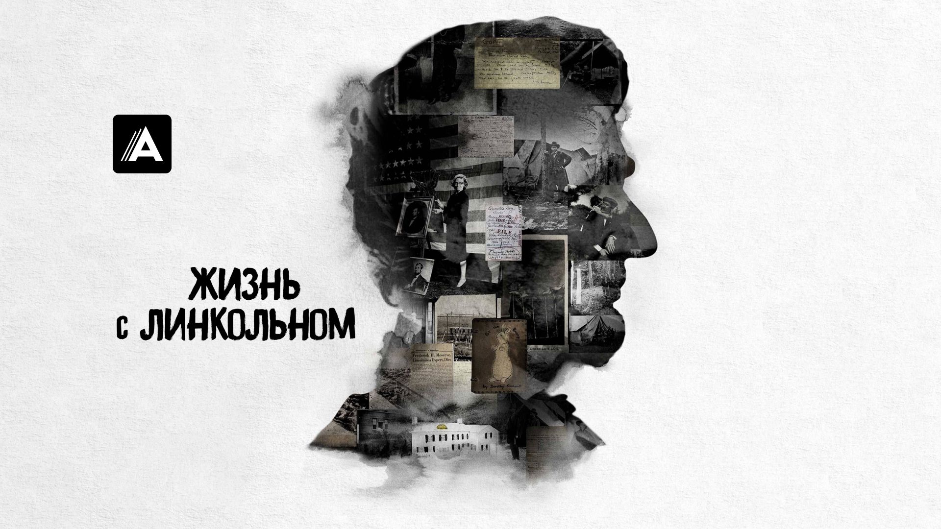 Жизнь с Линкольном